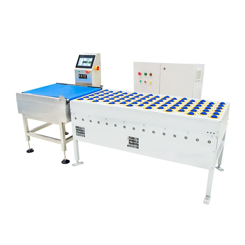 Bakit Mahalaga ang Pagtanggi sa Belt Weigher para sa Precision Material Control?