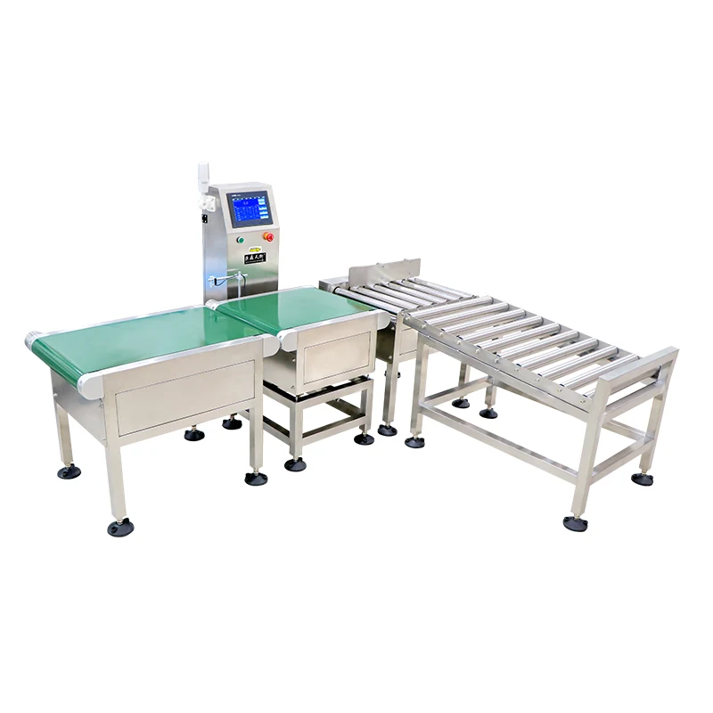 Ano ang Assembly Checkweigher Scale at Bakit Ito ay Mahalaga para sa Mga Makabagong Linya ng Produksyon?